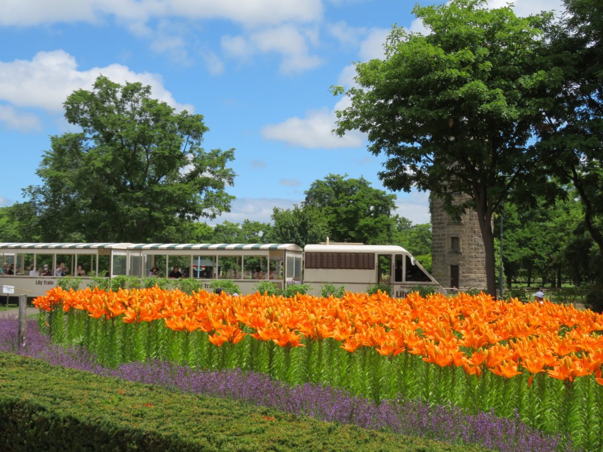 百合が原公園